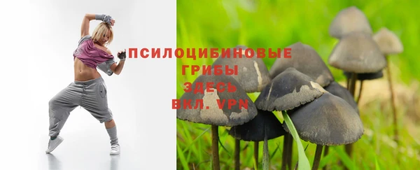 mdpv Переславль-Залесский
