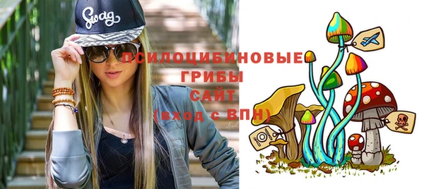 mdpv Переславль-Залесский