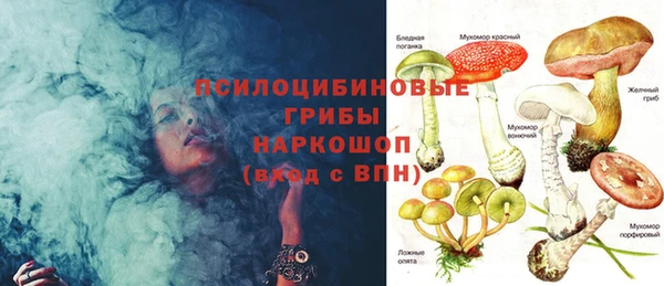 mdpv Переславль-Залесский