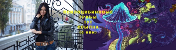 mdpv Переславль-Залесский