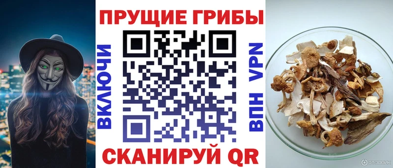 Галлюциногенные грибы мицелий магазин Кущёвская